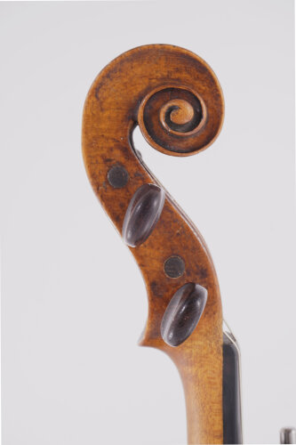 Violine, Hopf-Familie